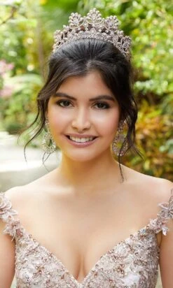 Vizcaya By Mori Lee - 89295 Embroidered V-neck Ballgown -Mori Lee vizcaya by mori lee 89295 embroidered v neck ballgown quinceanera dresses 28119754080339